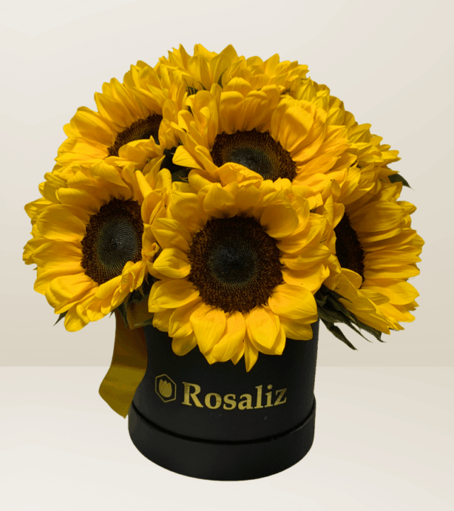 Box de 12 Girasoles