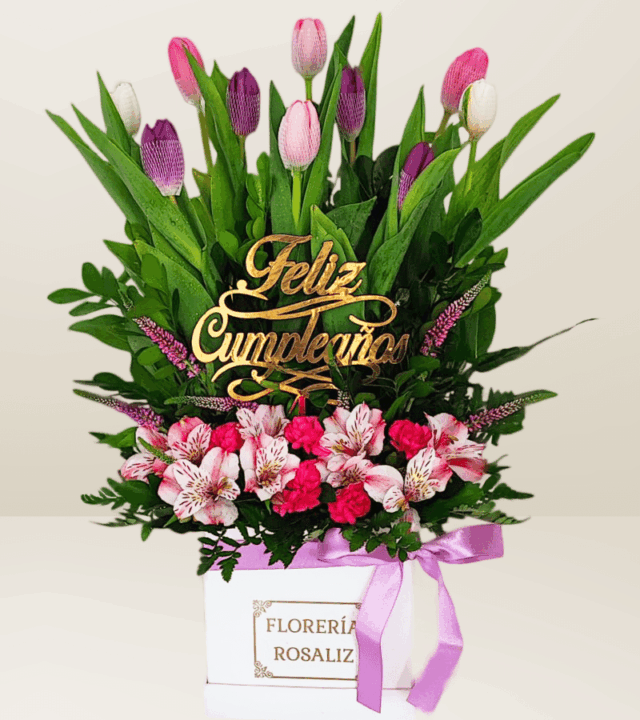 Box Primium 10 Tulipanes