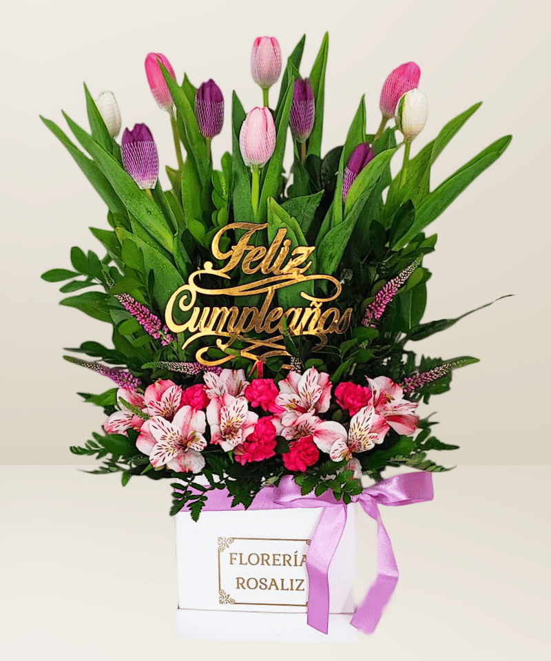 Box Primium 10 Tulipanes