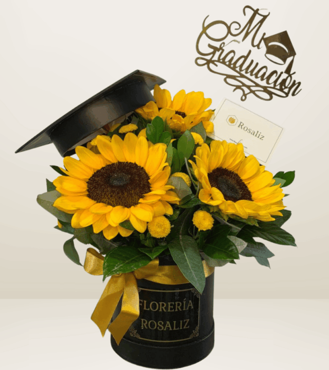 Box Girasoles Graduado