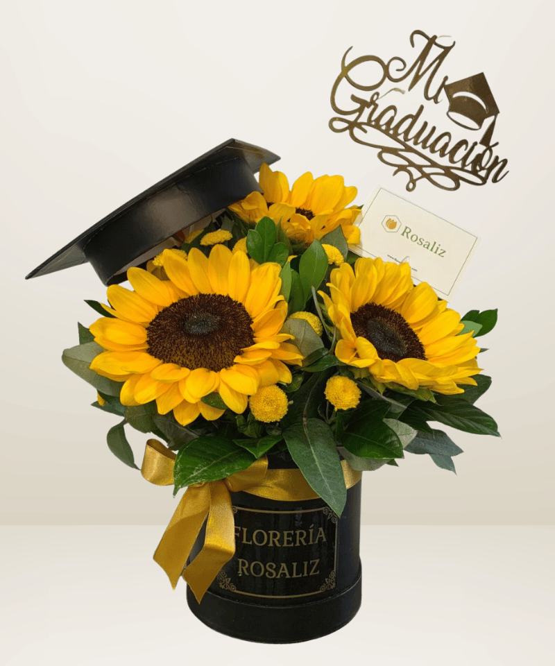 Box Girasoles Graduado