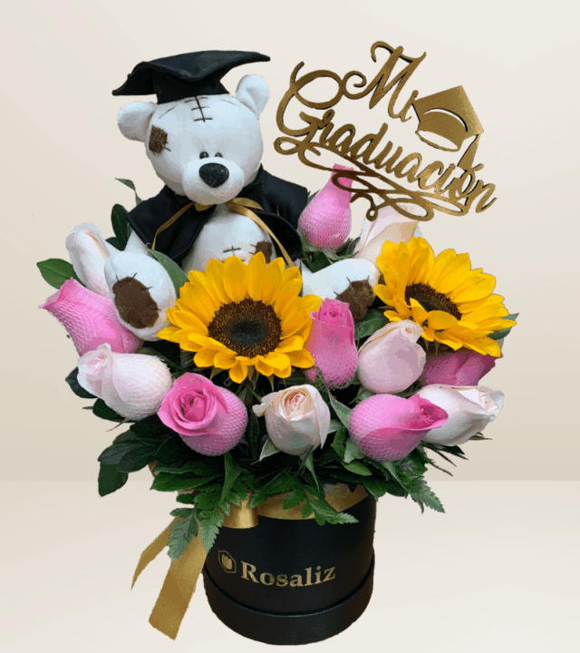 Box Teddy Blanco Graduado