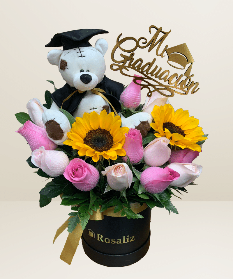 Box Teddy Blanco Graduado