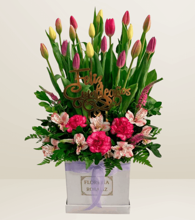 Box Premium 15 Tulipanes