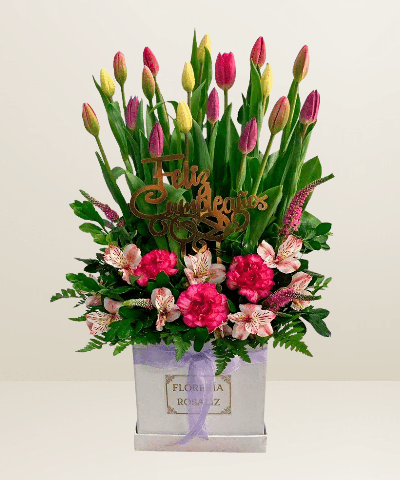 Box Premium 15 Tulipanes