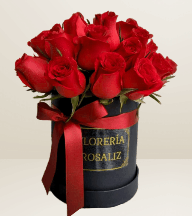 Box 24 Rosas