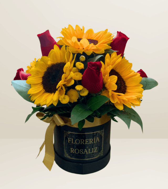 Box Girasoles y Rosas