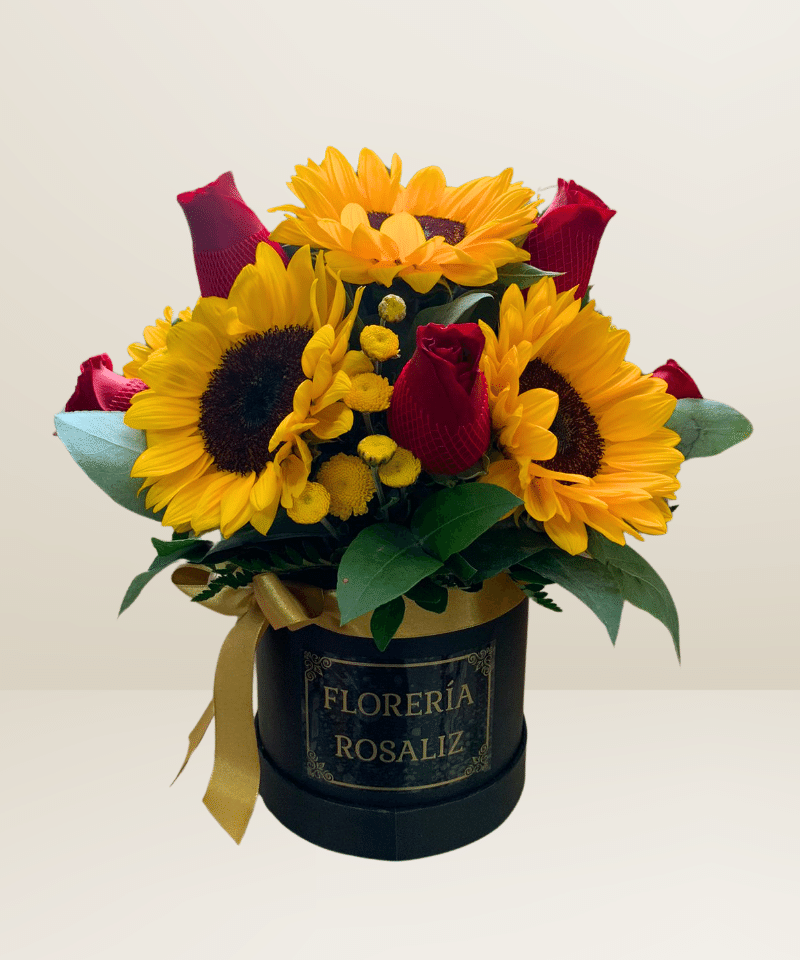 Box Girasoles y Rosas