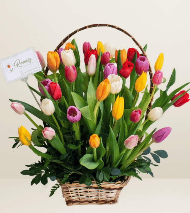 Canasta Full Tulipanes