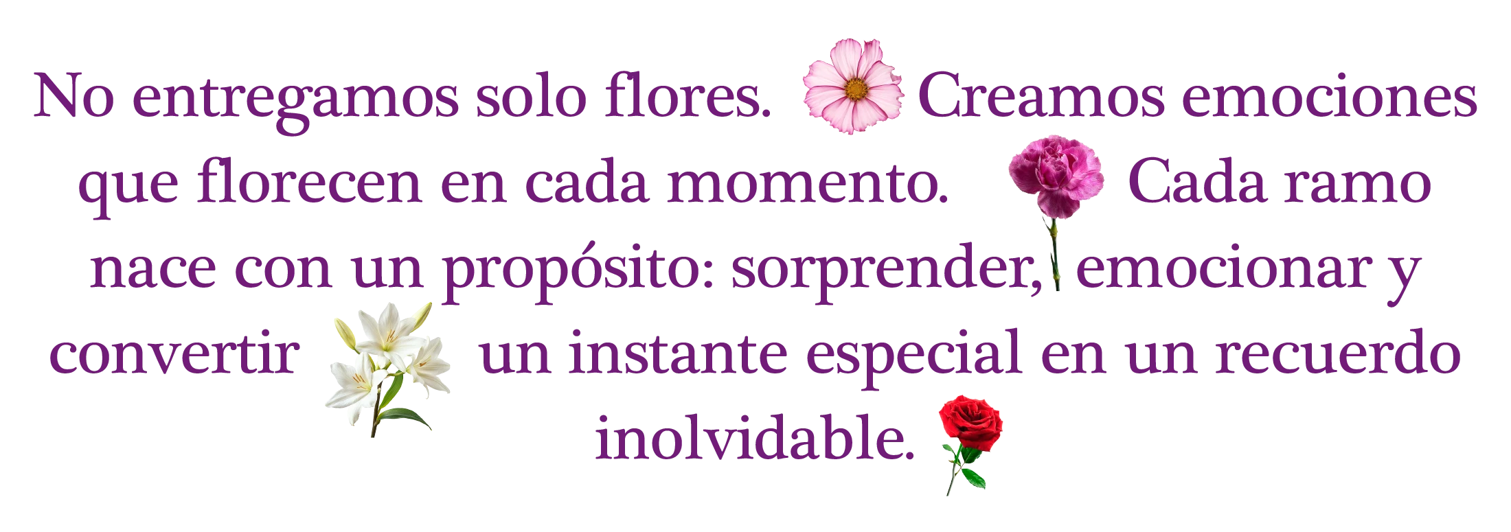 Florería Rosaliz — Nosotros